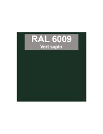 Lame 44mm Aluminium Ral 6009 2892mm de long
